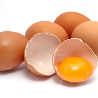 Μολυσμένα αυγά και...κατοικίδια