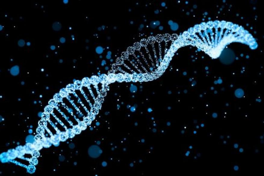 Πόσο ασφαλή είναι τα προσωπικά μας δεδομένα από τις εταιρείες έλεγχου DNA;