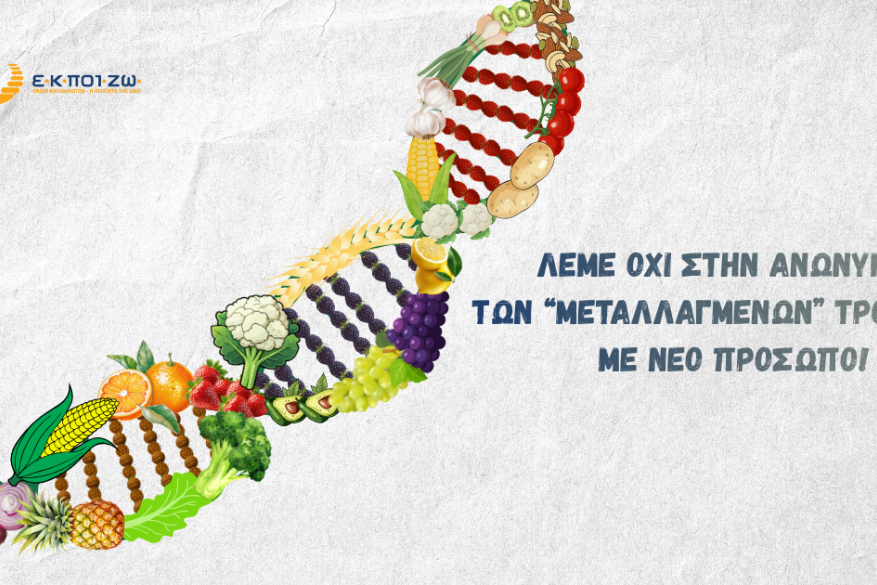 Λέμε ΟΧΙ στην ανωνυμία των “μεταλλαγμένων” τροφίμων με νέο πρόσωπο! Λέμε ΟΧΙ στην ανωνυμία των “μεταλλαγμένων” τροφίμων με νέο πρόσωπο!