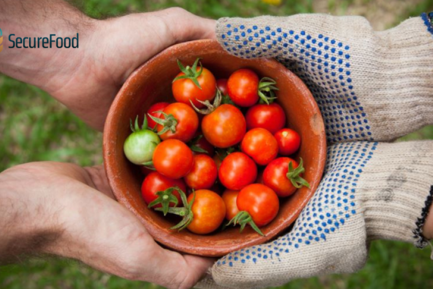 Secure Food: Καταπολεμώντας την επισιτιστική ανασφάλεια