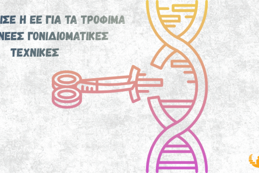 Ευρωπαϊκή Ένωση, σταμάτα να ξεγελάς τον εαυτό σου! Ευρωπαϊκή Ένωση, σταμάτα να ξεγελάς τον εαυτό σου!